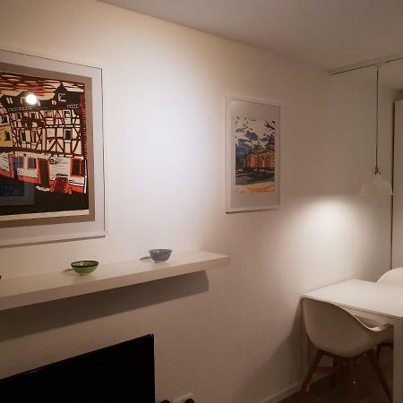 Studio Apartment In Zentraler Lage マインツ エクステリア 写真
